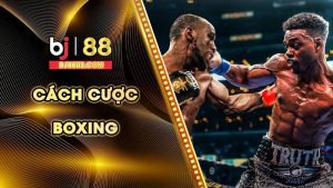 cách cược boxing
